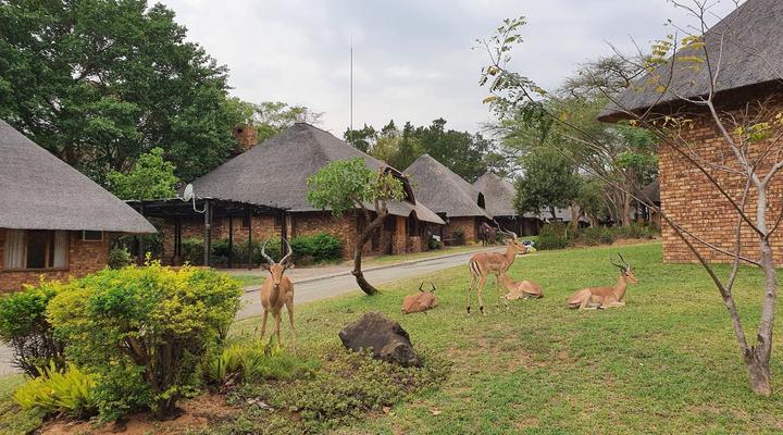 Kruger Park Lodge, Chalet Shongwe Ingwe