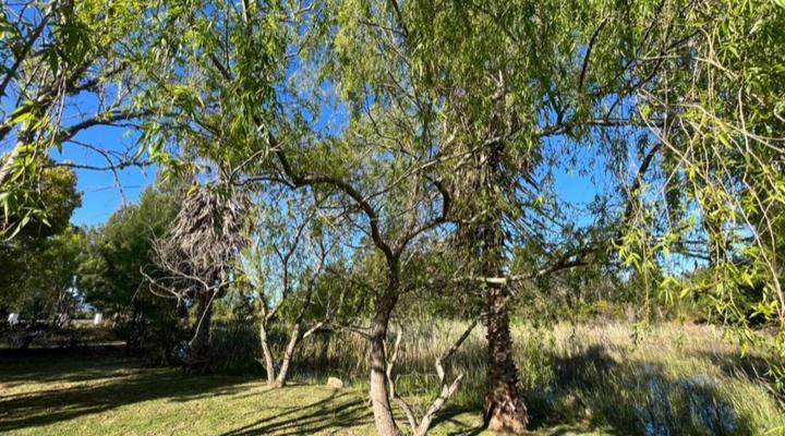 Forest Gate Backpackers