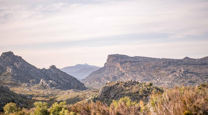 Stayatdestraadt Red Fin Cottage and Middeldeur Campsite