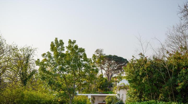 San Gabriel Homestead