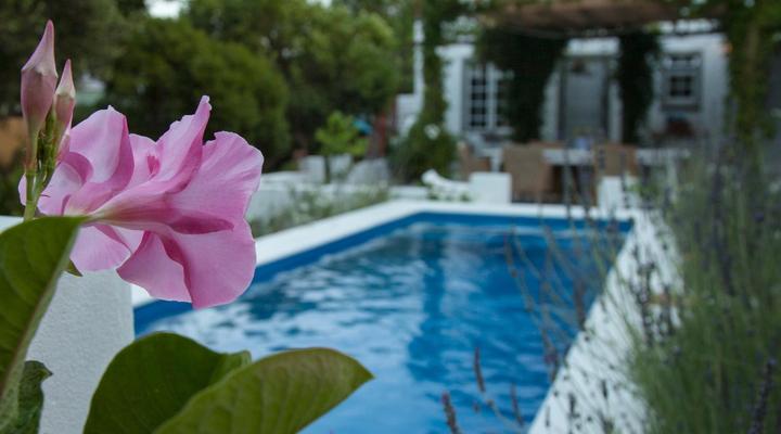 The Montagu Coach House