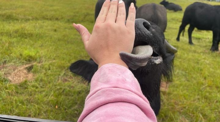 Uitzicht Private Nature Reserve and Lodge