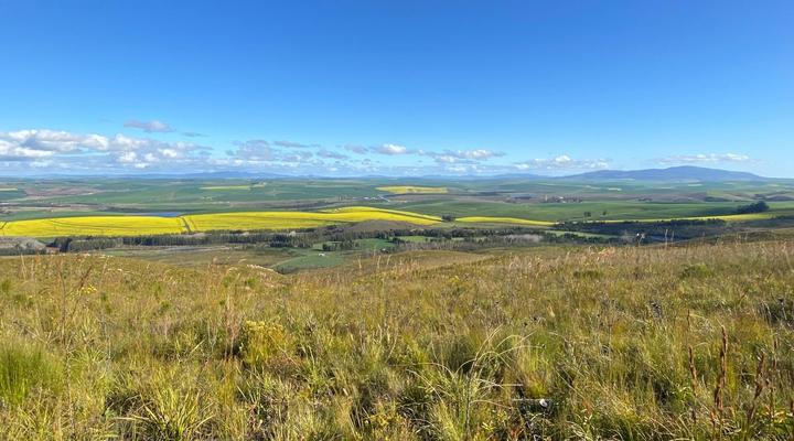 Kromrivier Farm Accommodation