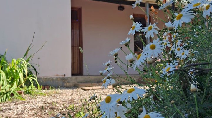 Wheatfields Guest House