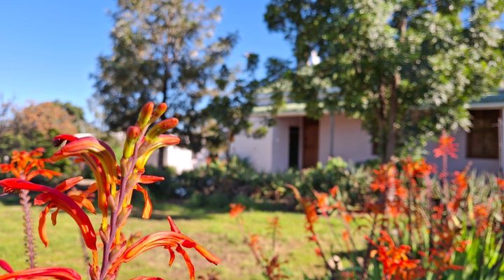 Wheatfields Guest House
