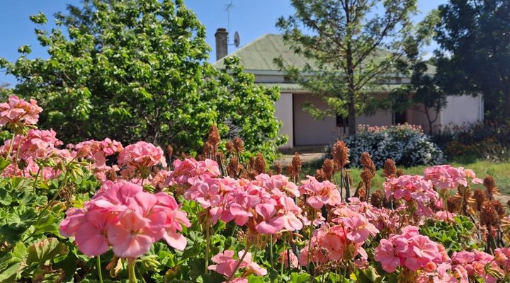 Wheatfields Guest House