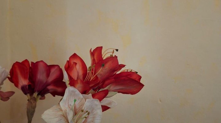 Wheatfields Guest House