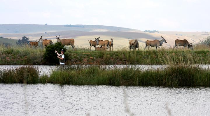 Elandskloof Trout Farm/Forel Plaas