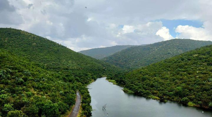 419 The Hornbills Nest