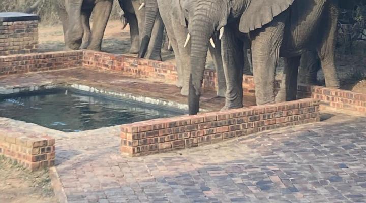 419 The Hornbills Nest