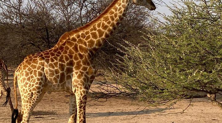 419 The Hornbills Nest