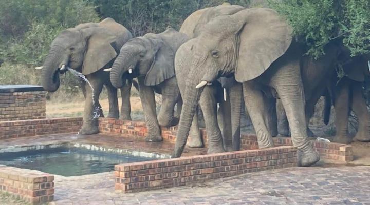 419 The Hornbills Nest