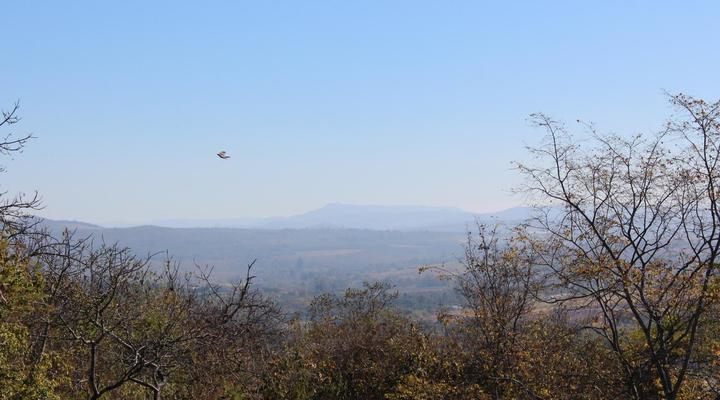 An Exclusive Guest House too