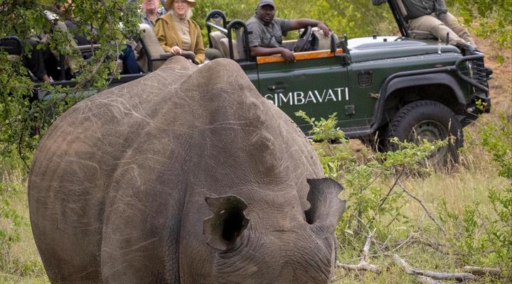Simbavati Mvubu Cottage