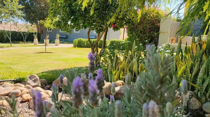 Excelsior Guest farm & Venue