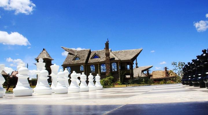 Giraffe Ark Game Lodge