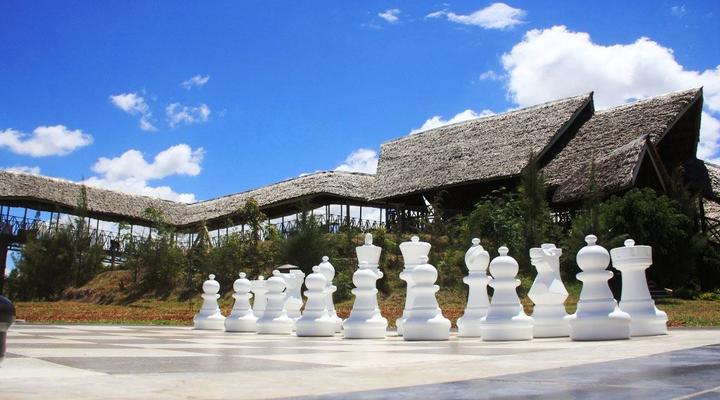 Giraffe Ark Game Lodge