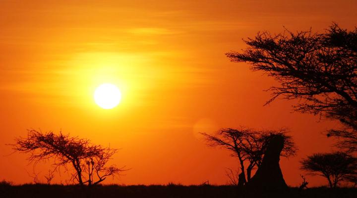 Bealey Buffels Trust