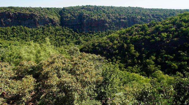 Leopards Rock Bush Boutique