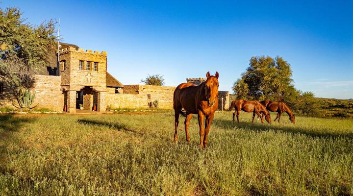 Melrose Mission Lodge