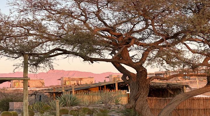 Daureb Isib Campsite and B&B