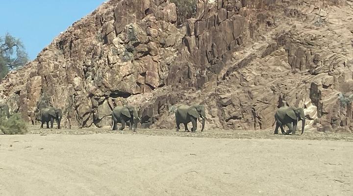 Daureb Isib Campsite and B&B