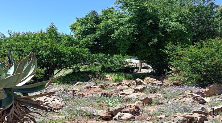 Alwynskop Guest house