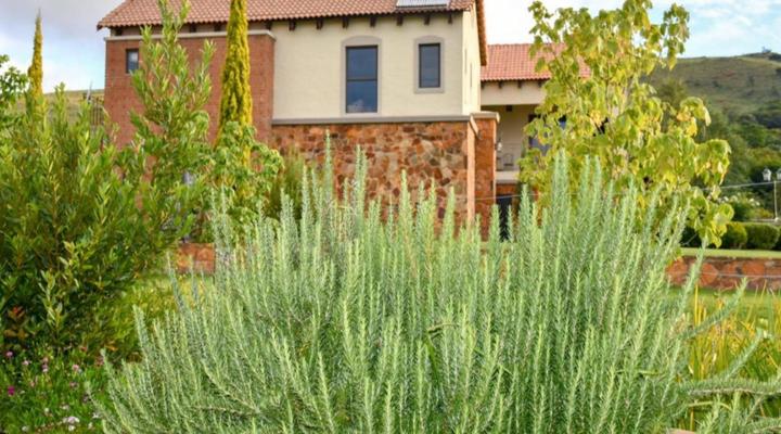 Mount High Luxury Country Lodge