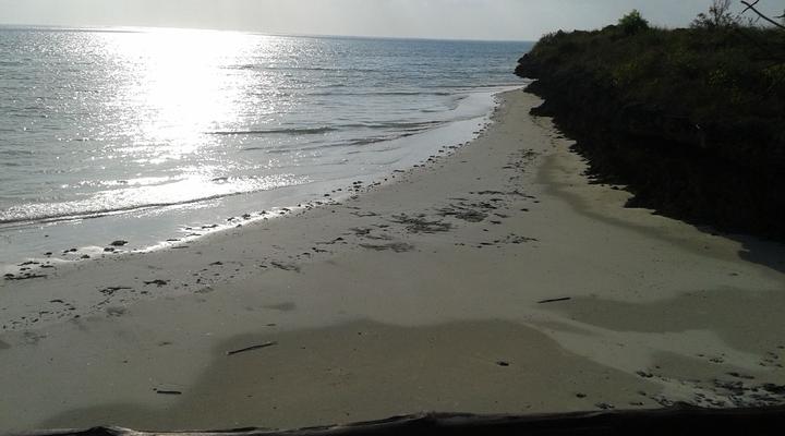 ZanZest Beach Bungalows