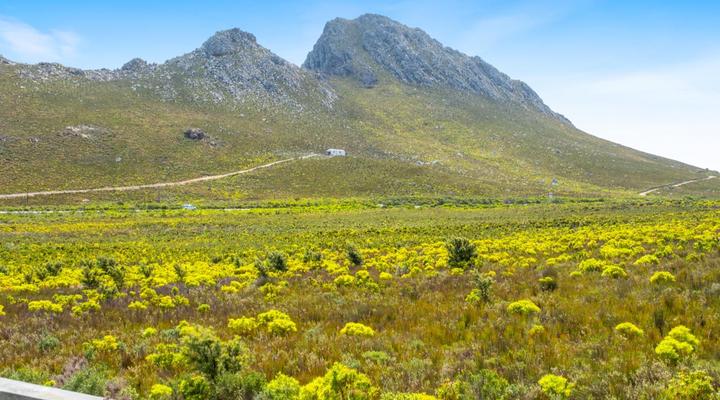 Rock Jumper Country House