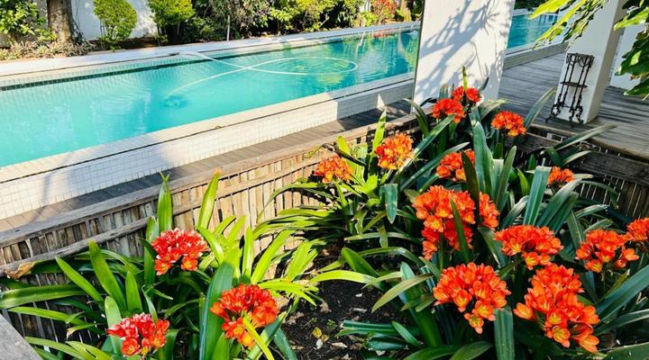 Sandton Farmhouse Executive B&B