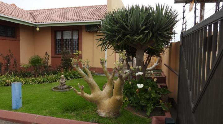 The Shifting Whispering Sands Guesthouse