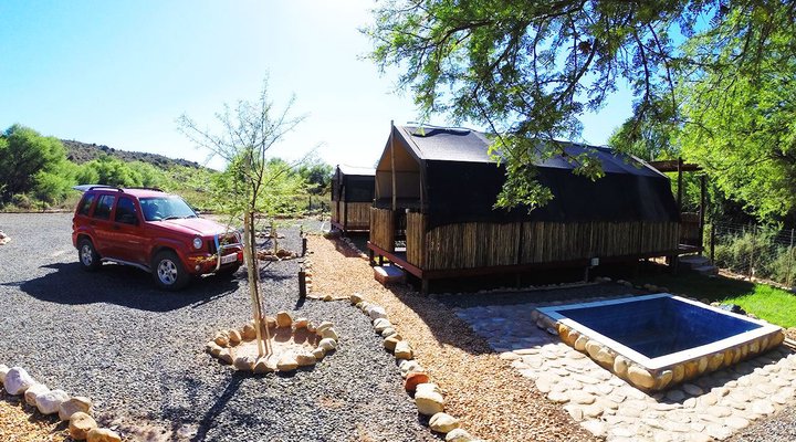 Thorn Tree Bush Camp