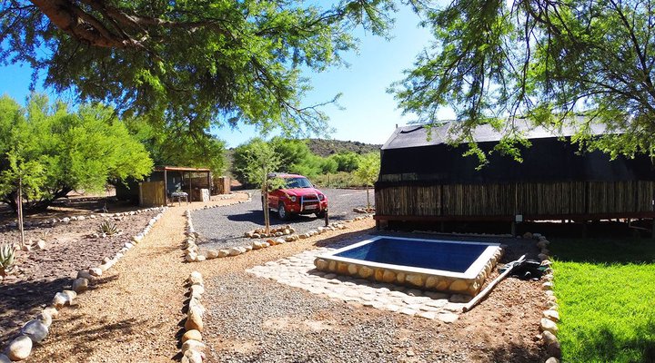 Thorn Tree Bush Camp