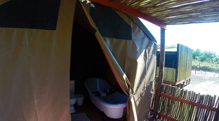 Thorn Tree Bush Camp