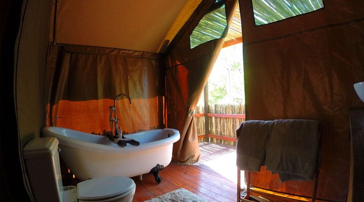 Thorn Tree Bush Camp