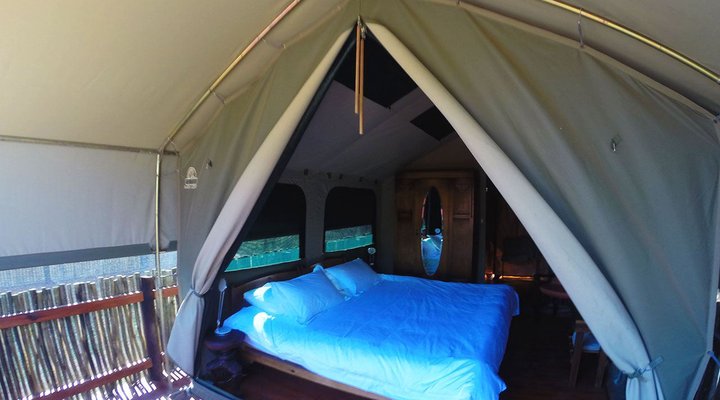 Thorn Tree Bush Camp