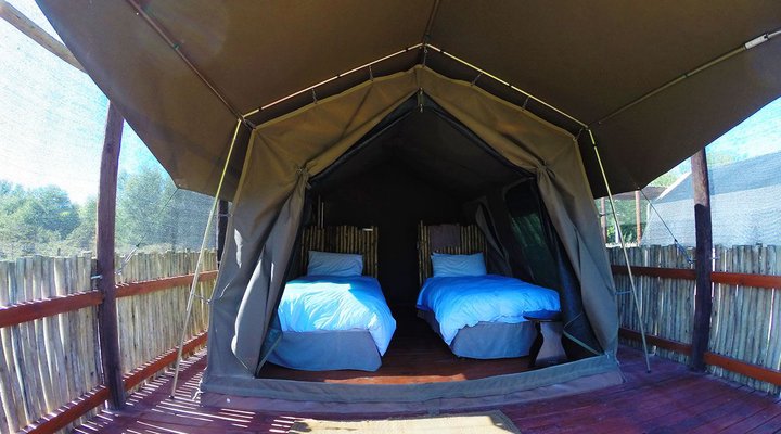 Thorn Tree Bush Camp