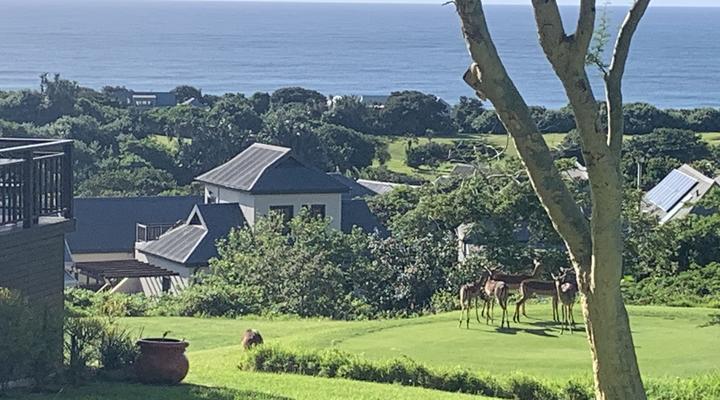 11th Heaven Garden Cottage