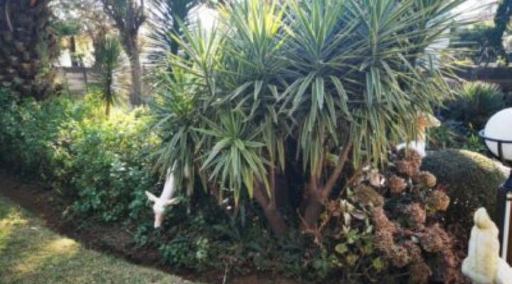 Lions Rest Guest House & Conference Centre