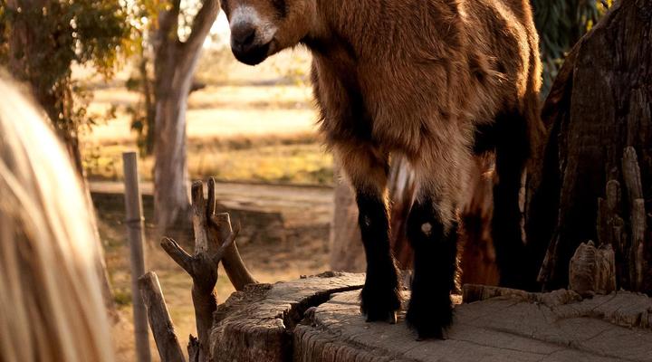 Dalmore Guest Farm B&B