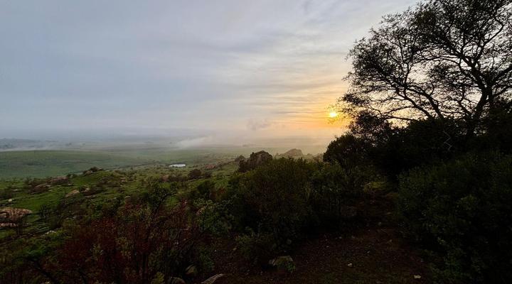 Mount Everest Guest Farm