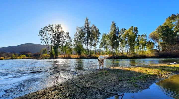 Honeypot Fly Fishing Eco Chalet