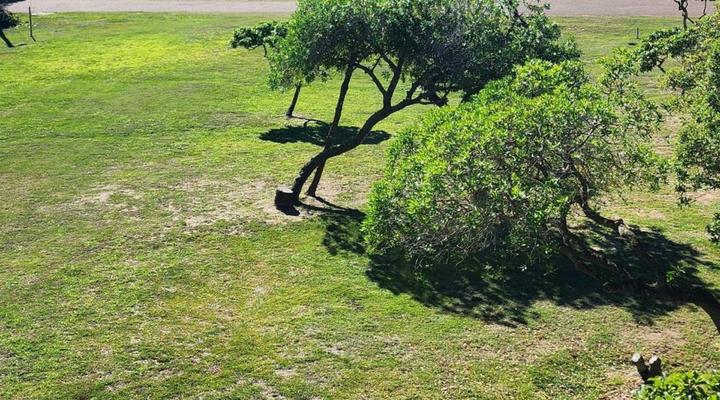 Muir Holiday Apartments