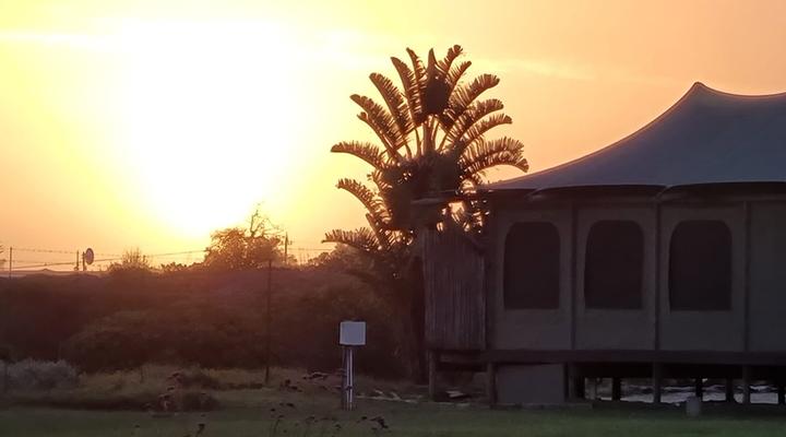Hillcrest Lodge Tents - Nelanga