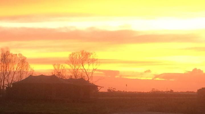 Hillcrest Lodge Tents - Nelanga