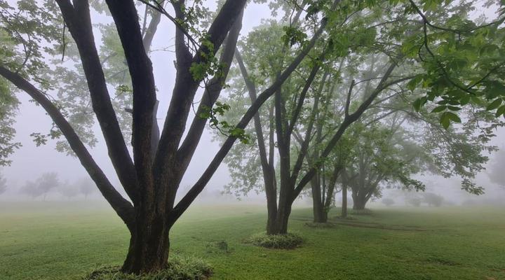 La Luna @ Misty Mountains