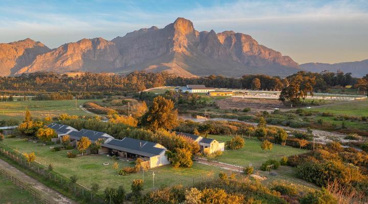 The Farmstead Franschhoek