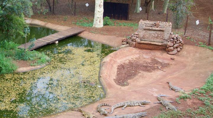 Ubizane Zululand Tree Lodge