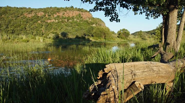 Leopards Rock Bush Boutique